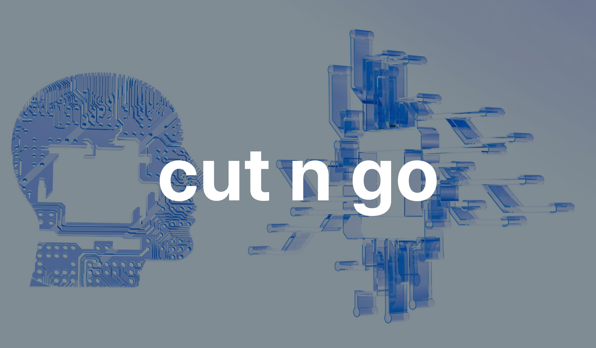 확실한 인물 선별 작업
cut n go